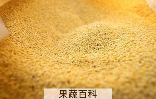 糜子面的营养价值 吃糜子面的好处与功效