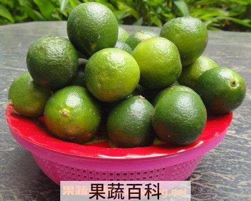青金桔