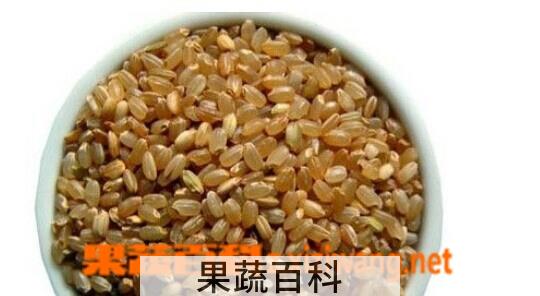 果蔬百科糙米的功效与作用 