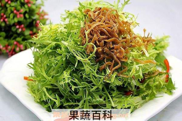 苦菊