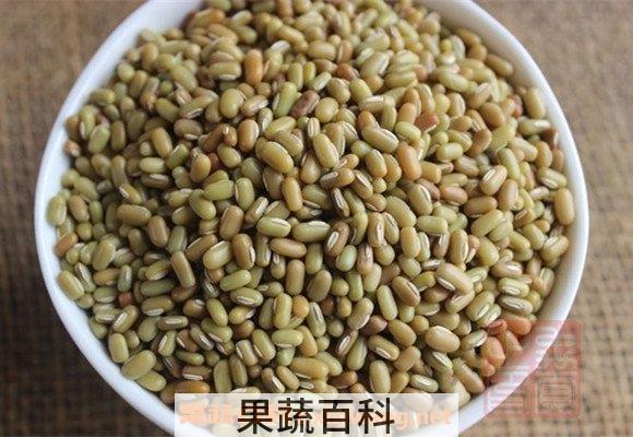 爬豆