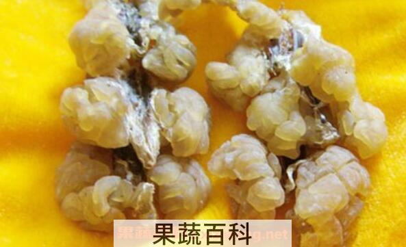 林蛙油的副作用 林蛙油什么人不能吃