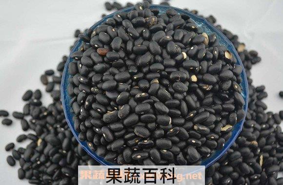 黑眉豆