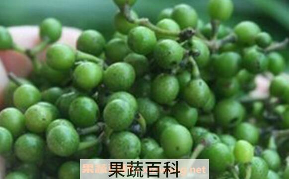 山胡椒籽的功效与作用