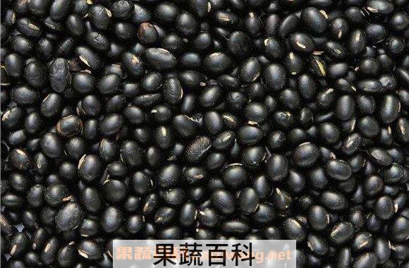 黑眉豆