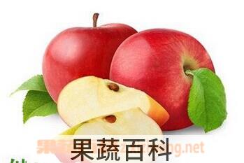 果蔬百科苹果粥的功效和做法