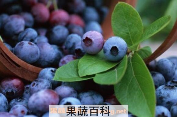 蓝莓花青素的功效与作用