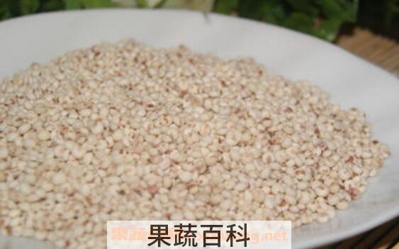 老产子米的功效与作用 老产子米的药用价值