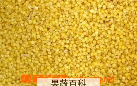 秫米的功效与作用的功能与主治 秫米的功效与作用禁忌