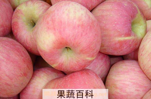 苹果减肥的正确方法 苹果怎么吃减肥