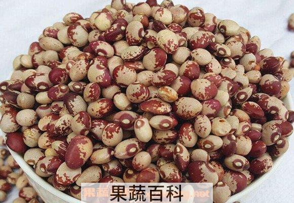 熊猫豆