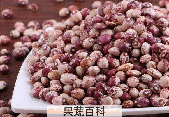 熊猫豆