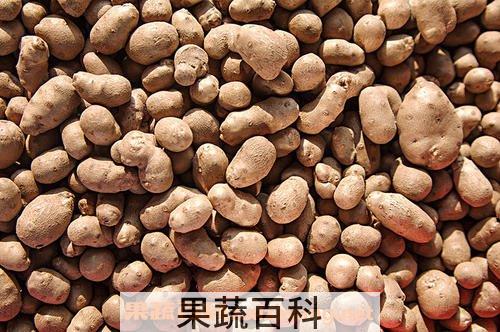 山药豆