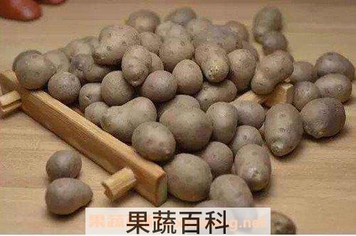 山药豆