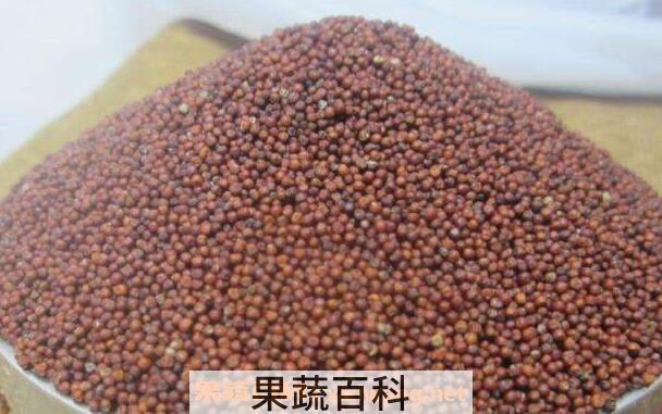 穇子的功效与作用 穇子的副作用