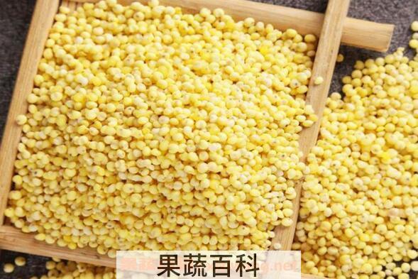 稷米怎么吃 稷米的食用方法