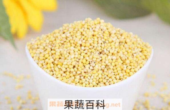 稷米怎么吃 稷米的食用方法