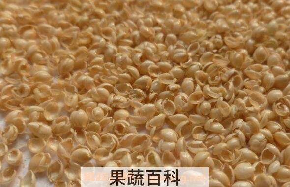 蒙稷的功效与作用 蒙稷的禁忌
