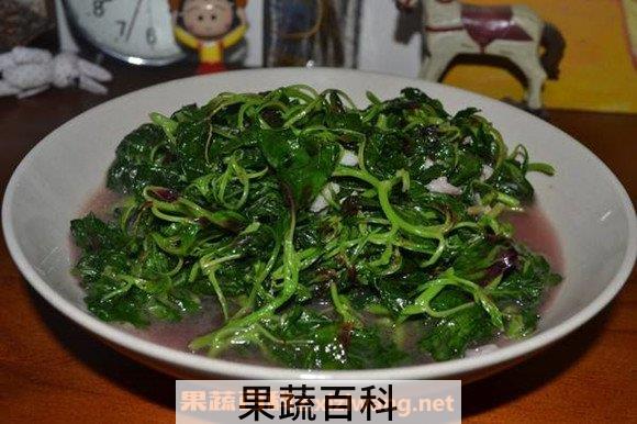 红汗菜