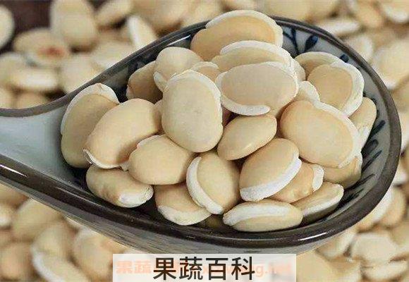白扁豆