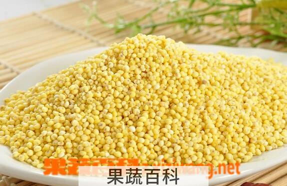 果蔬百科大黄米和黄小米的区别