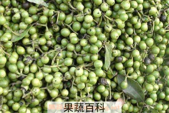 山胡椒的药用价值 山胡椒的副作用