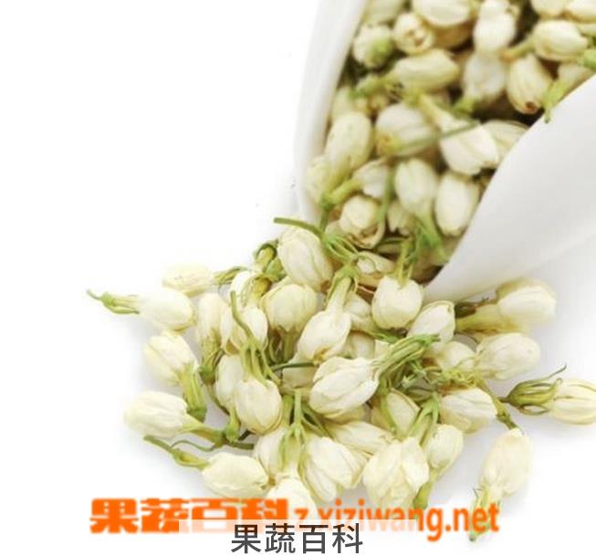 果蔬百科茉莉花的功效及食用方法