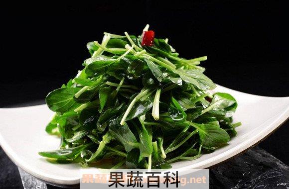 鸡毛菜