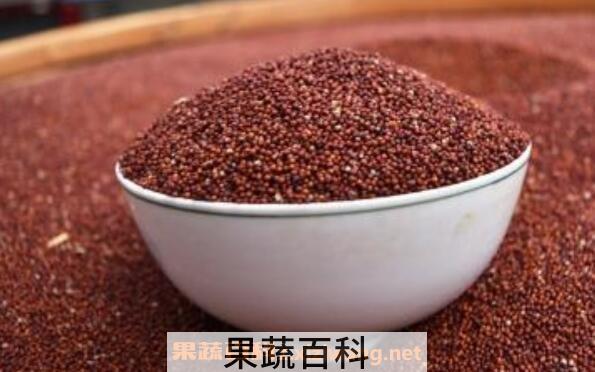 穇子粉的功效与作用
