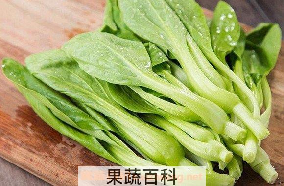 鸡毛菜