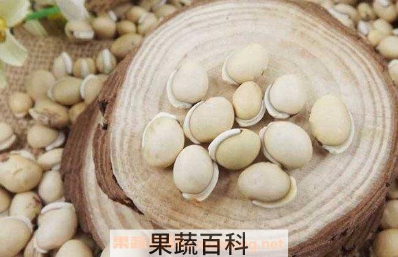 白扁豆