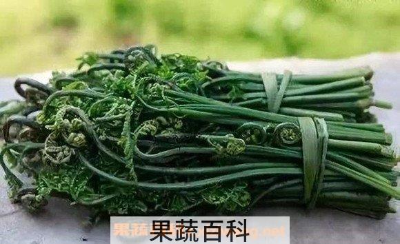 山蕨菜