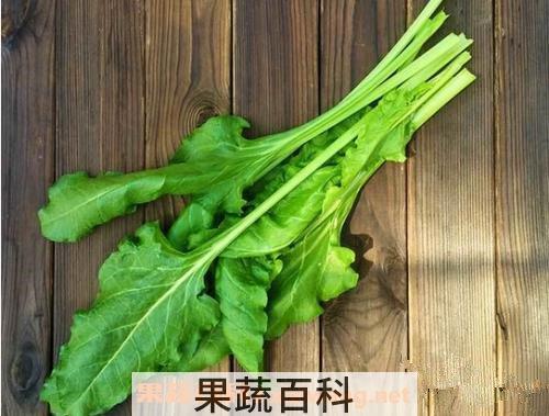 根达菜