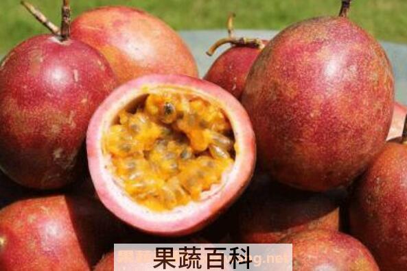 百香果怎么吃好 百香果的正确食用方法