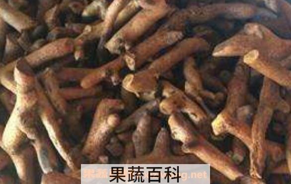 毛姜是骨碎补吗 毛姜和骨碎补的区别