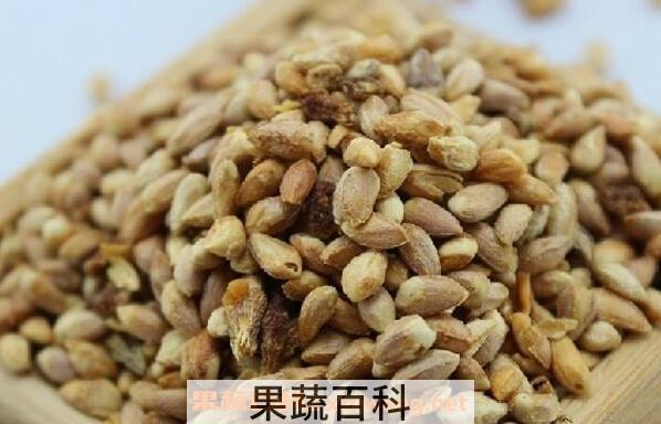 红松子仁的功效与作用