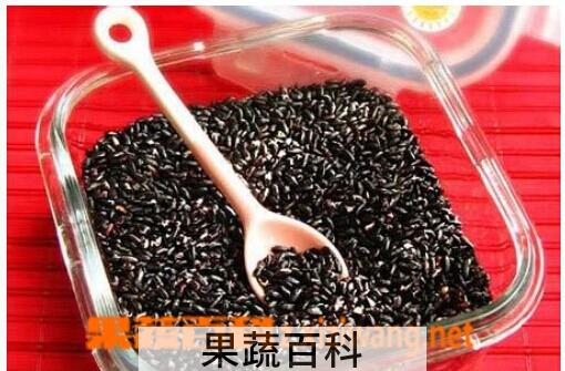 果蔬百科黑米