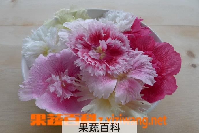 果蔬百科鲜花的做法 鲜花怎么吃
