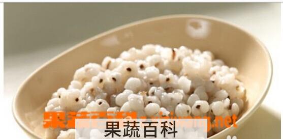 果蔬百科薏米
