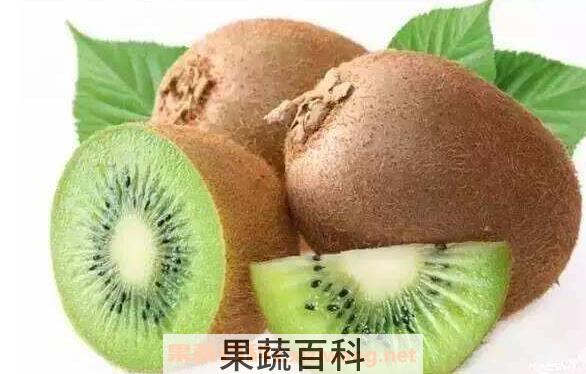 绿心猕猴桃的功效与作用