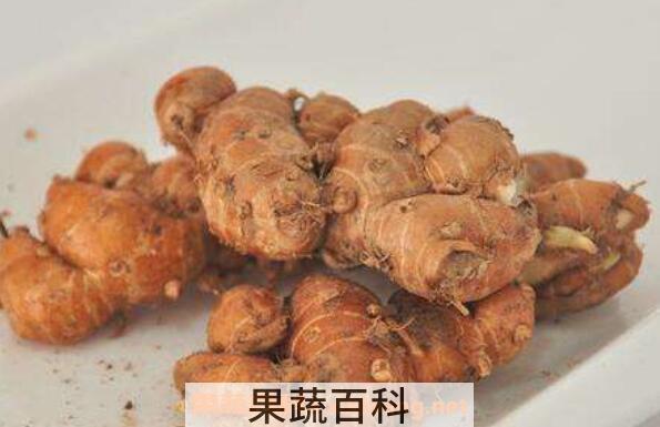沙姜外敷的功效与作用 沙姜的功效