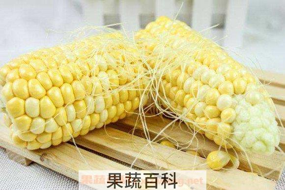 玉米须