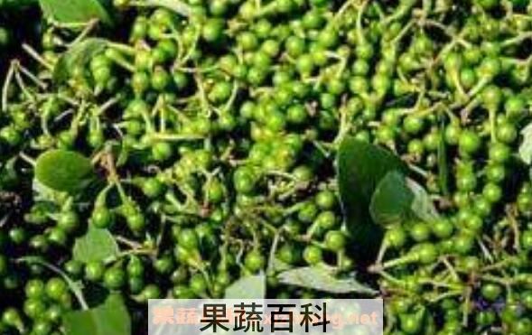 野山胡椒油如何做 野山胡椒油制作过程