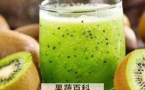 猕猴桃跟什么榨汁好喝 鲜榨猕猴桃汁的做法