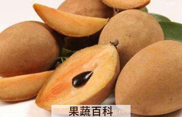 人心果的功效与作用 人心果的禁忌