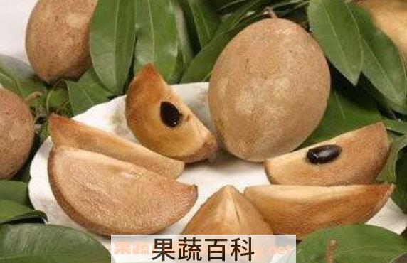 人心果如何泡酒 人心果泡酒的功效