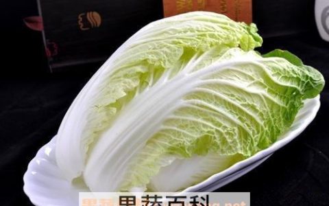 生白菜汁能直接喝吗 生白菜汁的药用价值