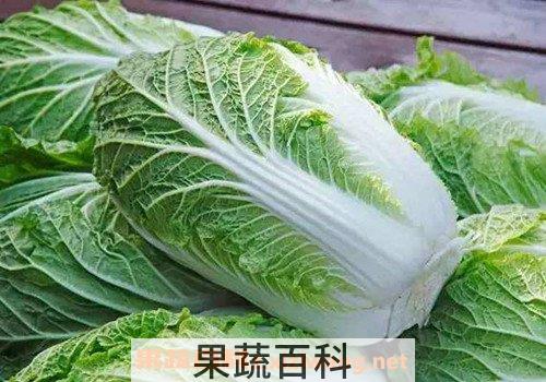 白菜汁