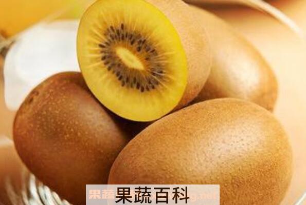 黄心猕猴桃的功效与作用 黄心猕猴桃的禁忌