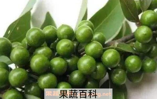 木姜子的功效与作用 木姜子的副作用